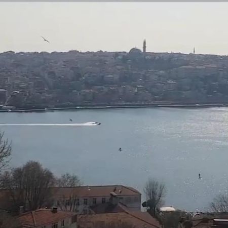 شقة Deniz Manzarasi, Marti Sesleri Esliginde اسطنبول المظهر الخارجي الصورة